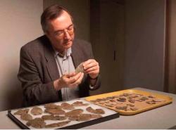 Christopher J. Ellis. Photo courtesy Dept. of Anthropology, UWO website Christopher J. Ellis. Photo courtesy Dept. of Anthropology, UWO website