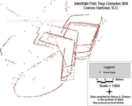 First Nation K'ómoks Advanced Fishing Traps Revealed in British Columbia