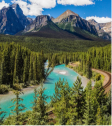 Morant's Curve
