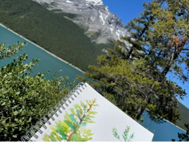 Tenir un journal dans la nature, avec Dawn Saunders Dahl des Studios Listen – Canmore, AlbertaSe reconnecter à la nature et l’imaginer avec l’œil d’une artiste